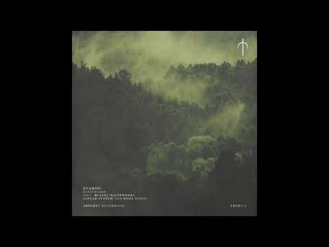 Indefinite Pitch premieres. Svarog - Passengers (Linear System Remix) [Prophet Recordings]