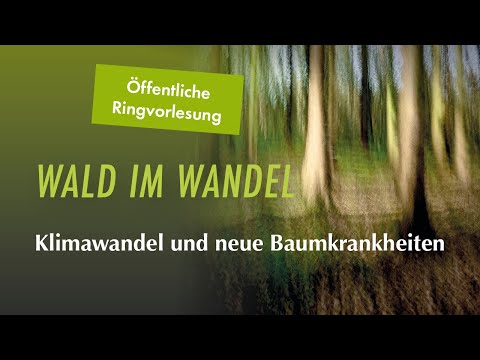 Klimawandel und neue Baumkrankheiten | Ringvorlesung Universität Göttingen