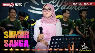 Download lagu SUMUR SANGA | Aurel Aulia | TERNODA MUSIC mp3