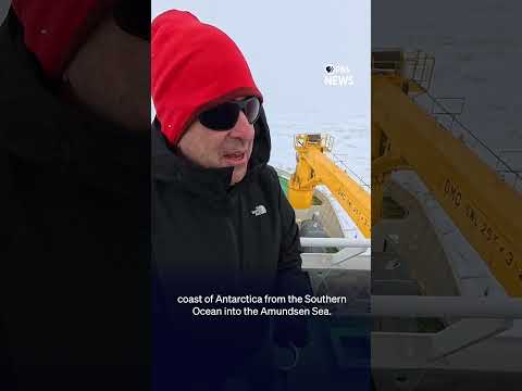 An icebreakers's attempt to reach the 'Doomsday' glacier #shorts