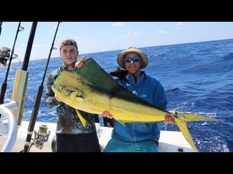 Mahi Mahi Fishing-how to Catch Mahi Mahi