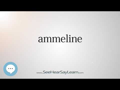 ammeline (Every English Word Pronounced) 📕🔊🗣️😎✅