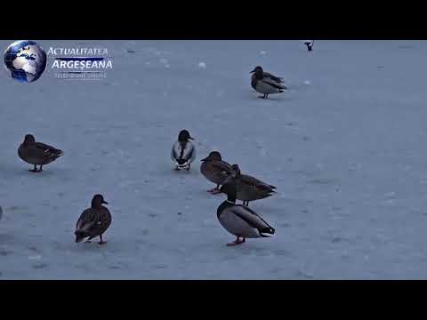 Parcul Fantana lui Manole, Curtea de Arges, 5 ianuarie 2026