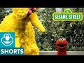Sesame Street Elmo Shows Emotions With Zoe Bert And Big Bird