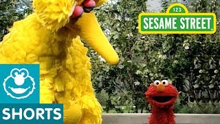 Sesame Street: Elmo Shows Emotions with Zoe, Bert and Big Bird