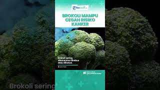 Kandungan Brokoli Memiliki Banyak Manfaat untuk Tubuh, Cegah Kanker & Bagus untuk Jantung