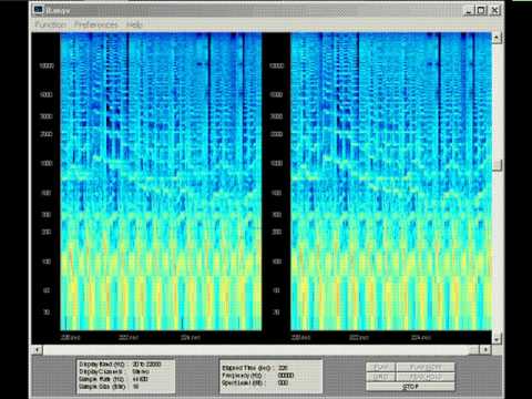 Chupathingy - 303 For You And Me