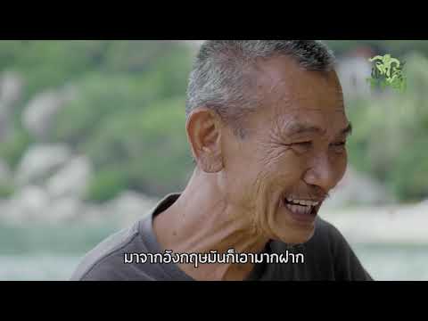 Thai Media · KD Interview