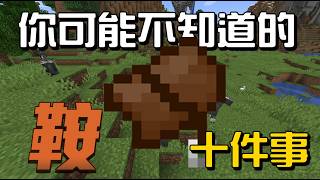 你可能不知道的鞍 10件事!!!【秋風麥塊學】#minecraft