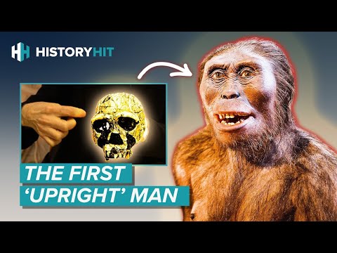 Homo erectus | Why Did the Most Successful Early Human Go Extinct?