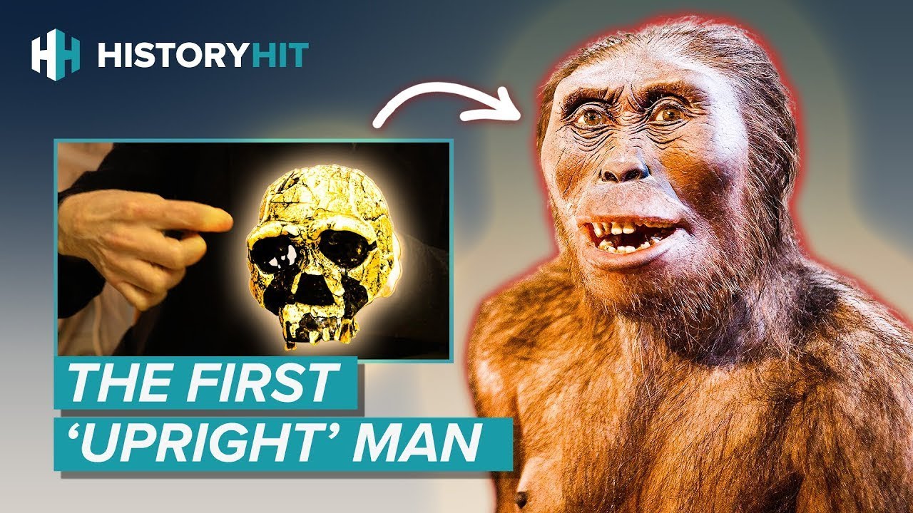 Homo erectus | Why Did the Most Successful Early Human Go Extinct?