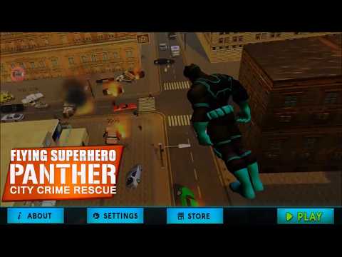 Flying Panther Superhero Crime Rescue City Mission