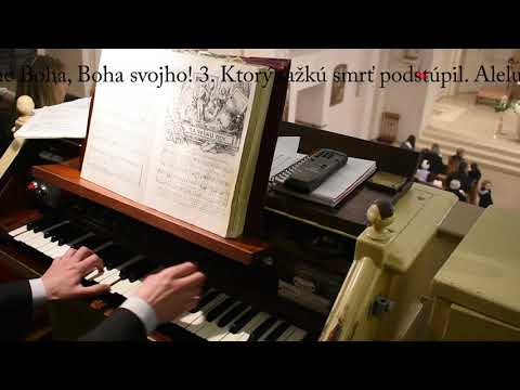 JKS 192 - Pán Ježiš Kristus vstal z mŕtvych (ein Osterlied)