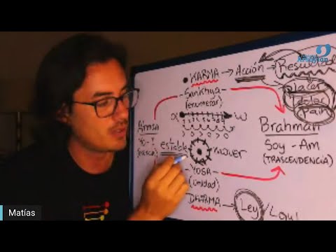 Day 342 FRUIT - Matias De Stefano - English Edit