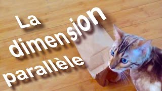 077 LA DIMENSION PARALLÈLE