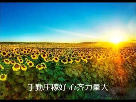 歌曲《社员都是向阳花》