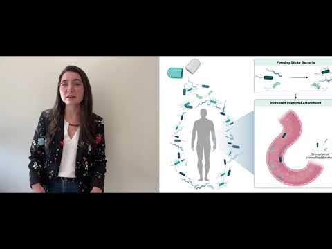 Three Minute Thesis: Ava Vargason