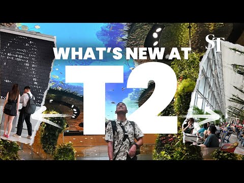 Passo a passo do T2 do Aeroporto de Changi: novas atrações no renovado Terminal 2