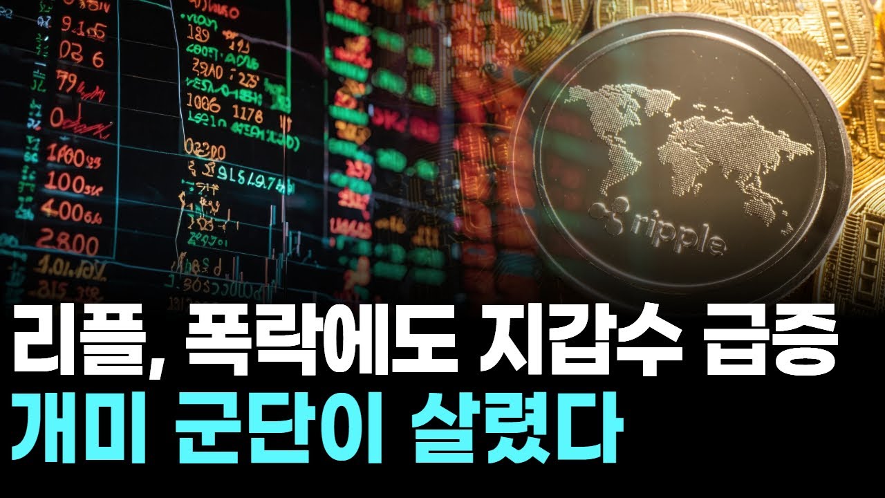 리플, 폭락에도 지갑수 급증…개미 군단이 살렸다