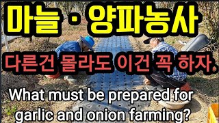 마늘ㆍ양파 농사에 꼭 준비해야 할 것은? What must be prepared for garlic and …