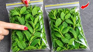 Stop Freezing MINT LEAVES! This Trick Keeps Them Fresh for Months | Epic Tips