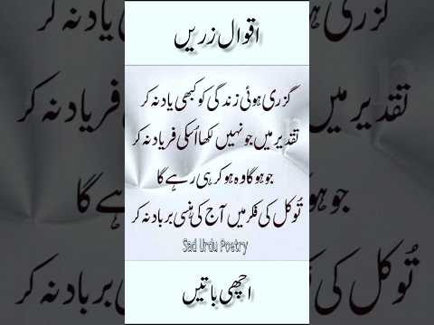 Aqwal e zareen short video|#aqwalezareen #quotes #shortfeed