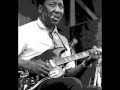 Muddy Waters - I Am The Blues