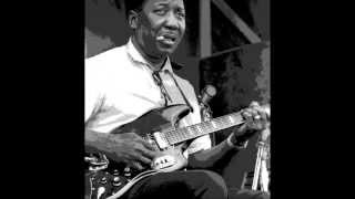 Muddy Waters - I Am The Blues