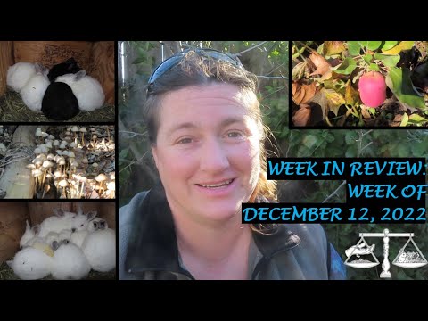 Week in Review: Week of December 12, 2022