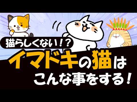 猫の習性