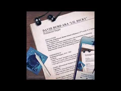 lil dicky professional rapper full album downloads lil dicky professional rapper full album downloads