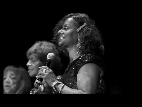 THE VELVELETTES "He Was Really Saying Something"