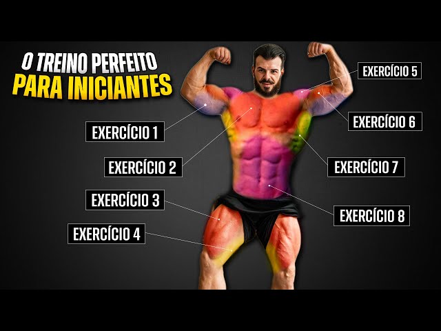 Full Body Task Complete Full Body Workout Explained for Beginners | Galaxy.ai