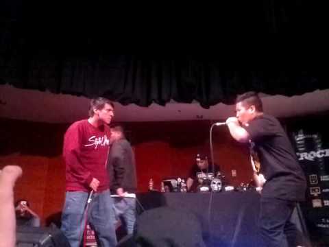 STICK vs CALLE - BDM Goldent