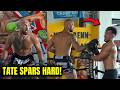 Andrew Tate DESTROYS EVERYONE In New HARD SPARRING FOOTAGE