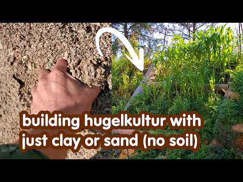 No-Soil Hugelkultur: Clay & Sand Solutions