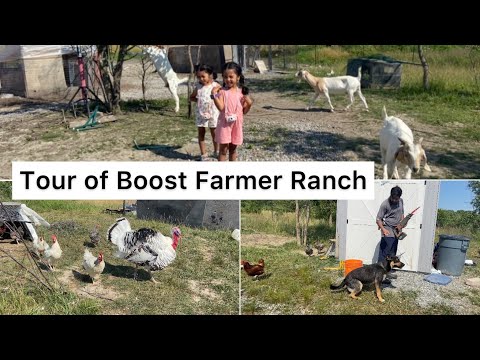Tour of Boost Farmer Ranch/ German Shepherd Rottweiler/Journey with Naureen/Vlog 🇨🇦