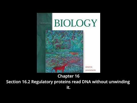 Biology - Chapter 16, Control of Gene Expression