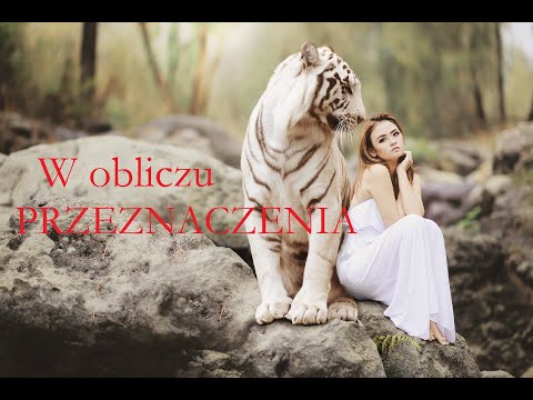 W obliczu PRZEZNACZENIA ⭐️ Czytanie wybierz kartę