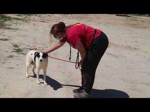 Vídeo de DEANA