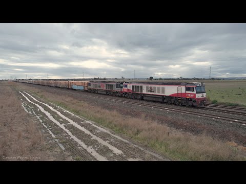 SCT 5PM9 Mixed Freight Train - Two CSR's Leading 95 Wagons (7/8/2022) - PoathTV Australian Railways