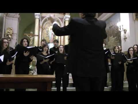 Coro Decanter - The Owl and the Pussy-cat - John Rutter