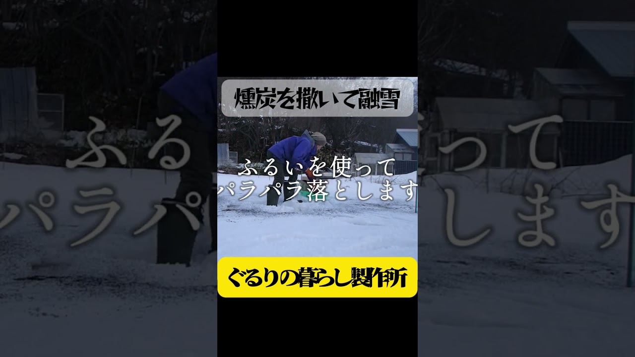 融雪のために燻炭を撒きました【自給生活北海道】早く乾燥させたい小麦畑には毎春籾殻燻炭を撒きます #エコビレッジライフ体験塾 #ぐるりの暮らし製作所