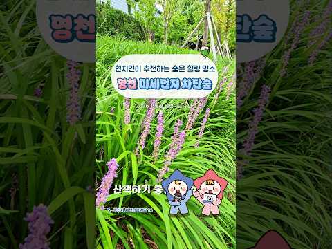[2026새영천알림이단✨] 영천 사람도 잘 모르는 숨은 힐링 명소
