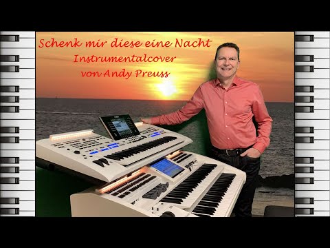 Schenk mir diese eine Nacht ❤️ Andy Preuss an der Wersi Orgel 🎹 Instrumental Cover