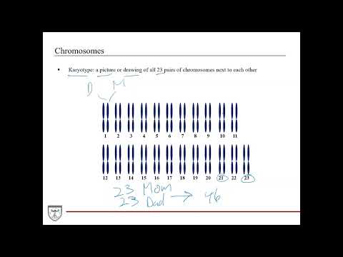 Principles of Genetics [Genetics 1 of 8]