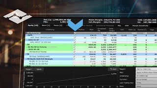 Build a Portfolio using TWS Risk Navigator