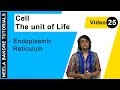 Cell The Unit Of Life NEET Endoplasmic Reticulum Neela Bakore Tutorials
