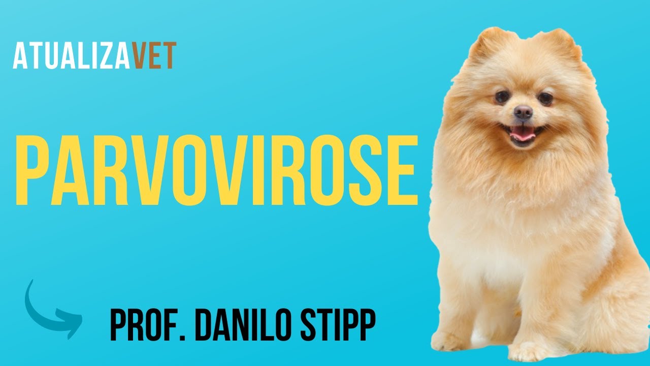 Parvovirose canina - AtualizaVet