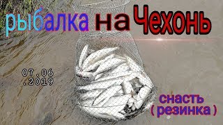 Когда начинают ловить чехонь на резинку